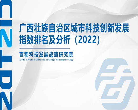 美女的大逼逼【成果发布】广西壮族自治区城市科技创新发展指数排名及分析（2022）